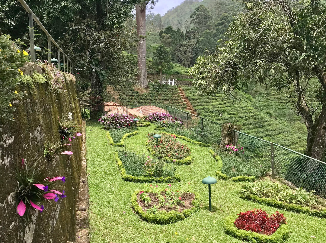 总督府酒店主图