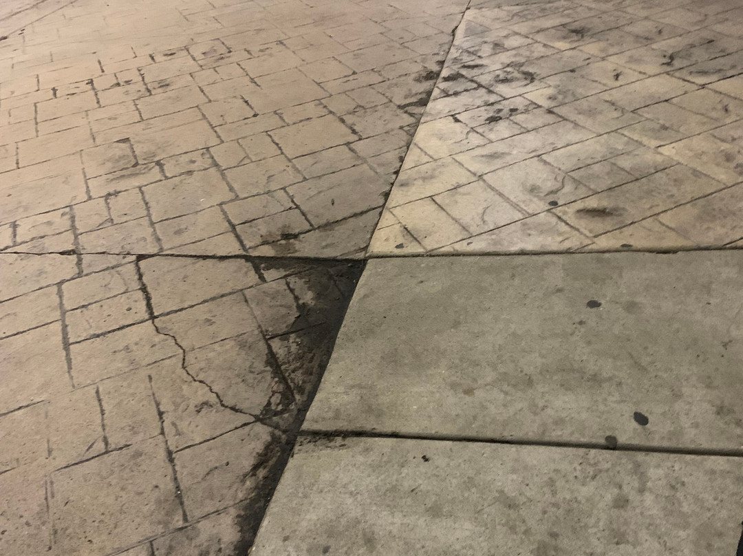 Skyline Hotel Detroit Airport, Surestay Collection By BW主图