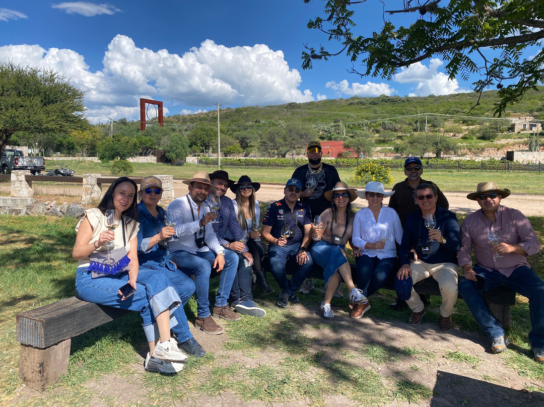 Viñedo Puerta Del Lobo-El Marques Municipality必去景点