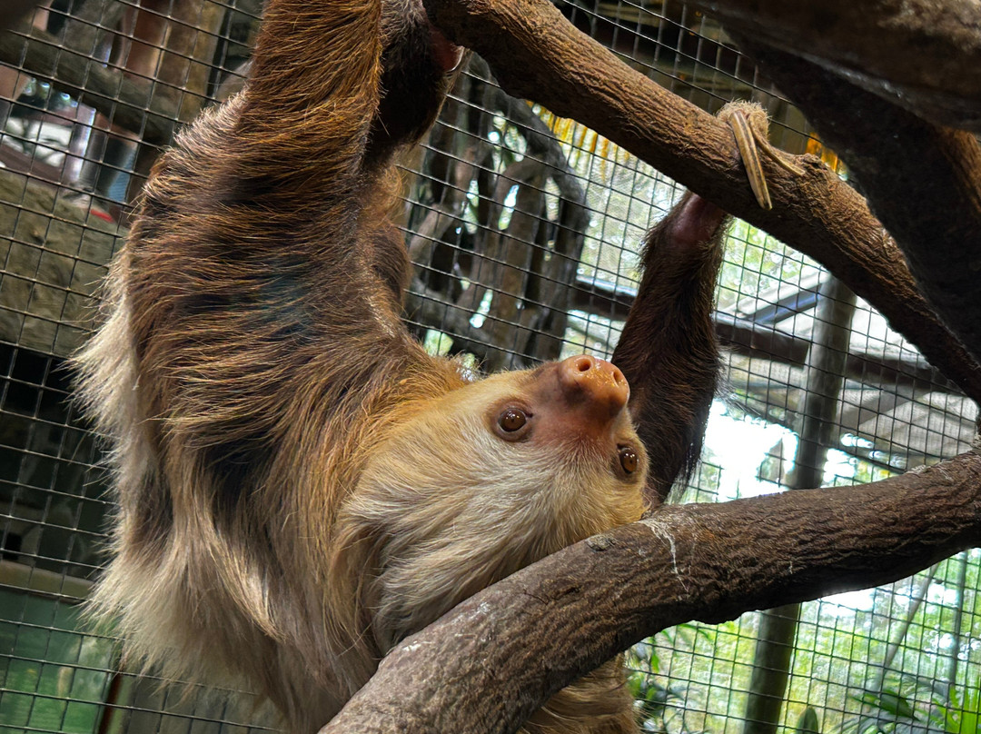 Sol Tropical Day Tours-圣何塞必去景点