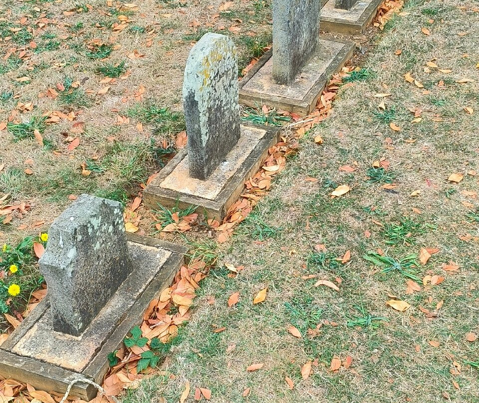 National Trust - Coventry Charterhouse-考文垂必去景点