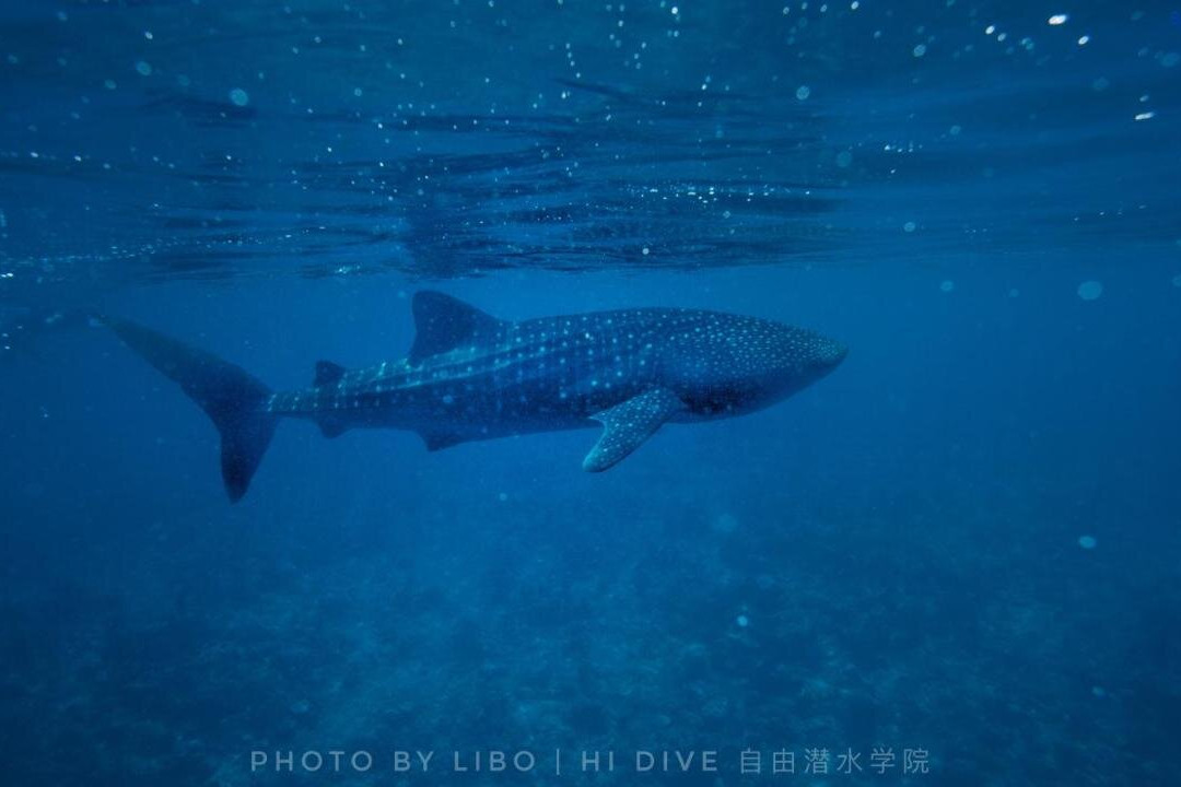 Sunrise By White Sand Dhigurah