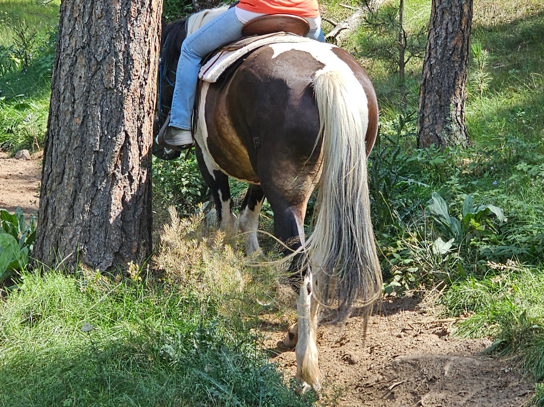 The Stables at Palmer Gulch-希尔城必去景点