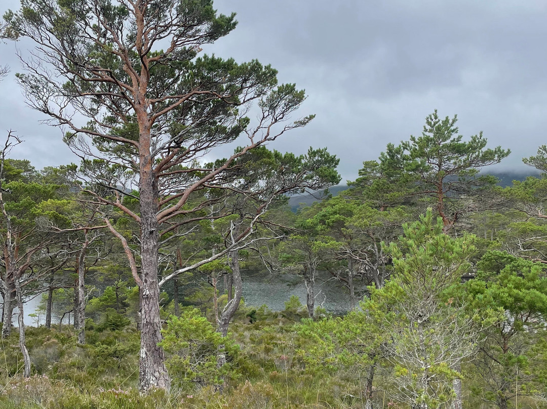 Gairloch Kayak Centre-盖尔洛赫必去景点