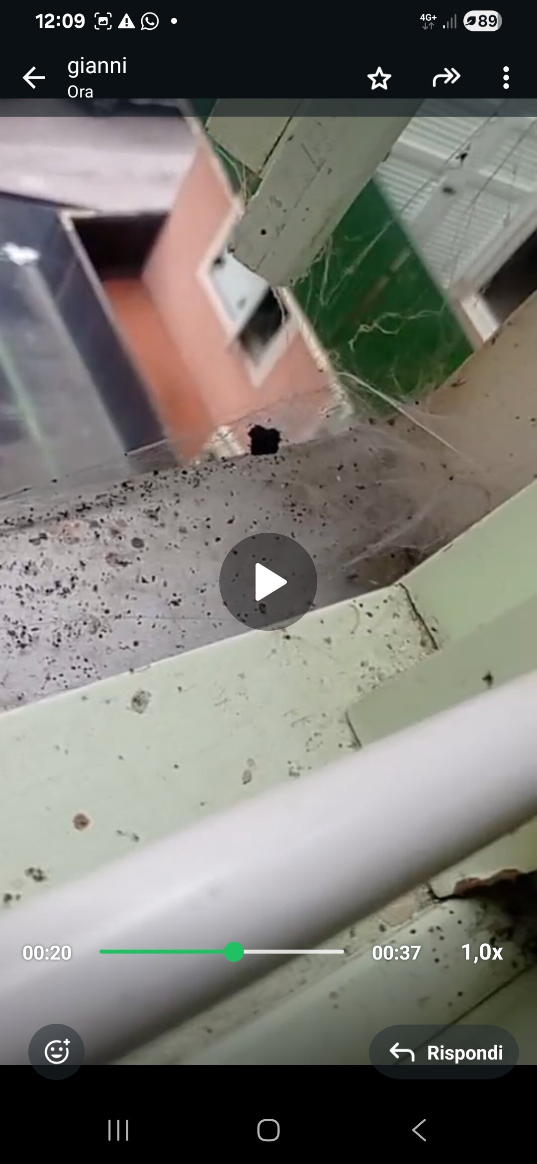 Sport Hotel Terme di Bresimo-客卧