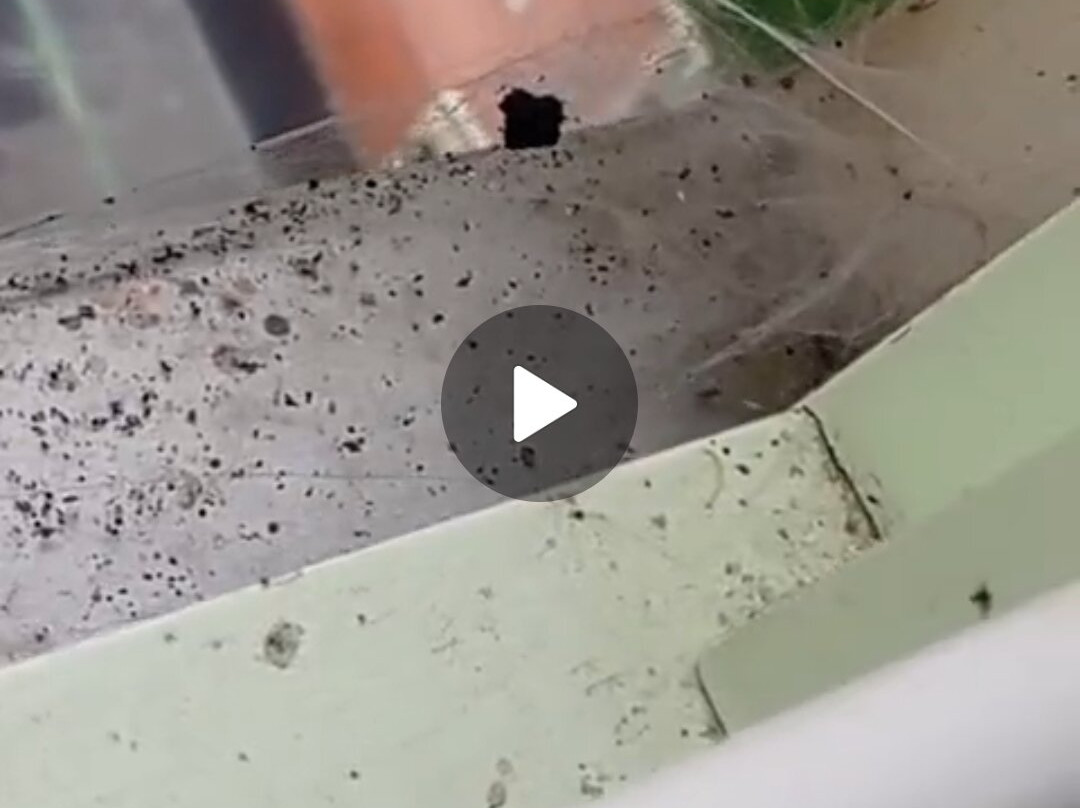 Sport Hotel Terme di Bresimo主图