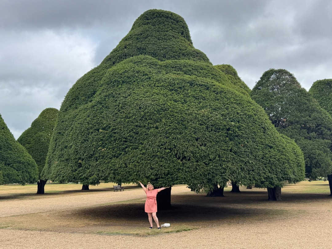 Hampton Court Park-East Molesey必去景点