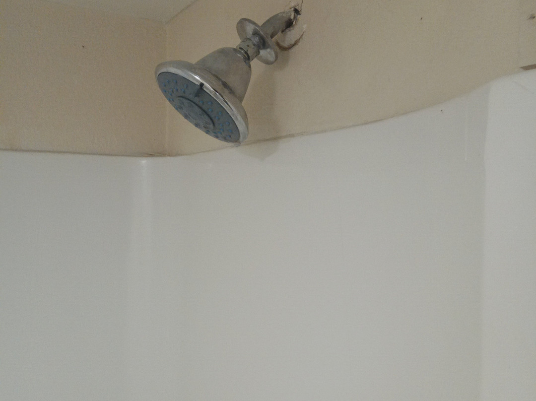 Baymont by Wyndham Cheraw主图