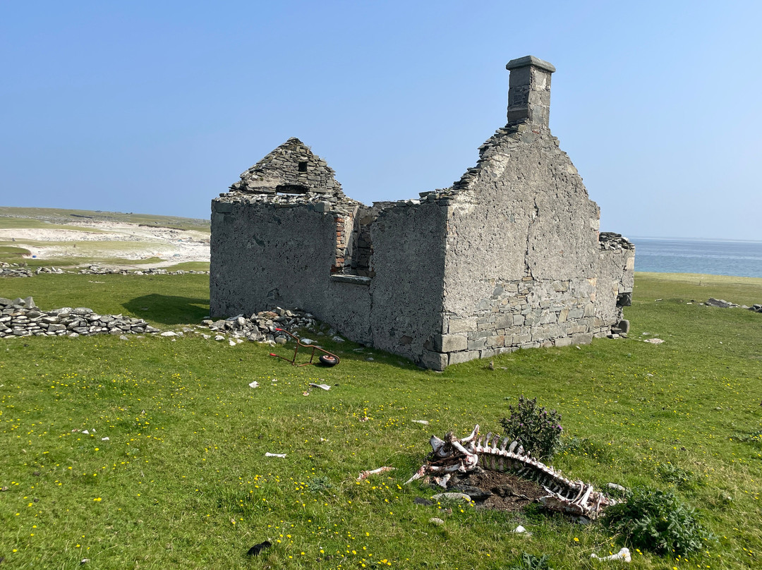 Belmullet Boat Charters - Inishkea Ferry & Sea Safari Tours-Belmullet必去景点