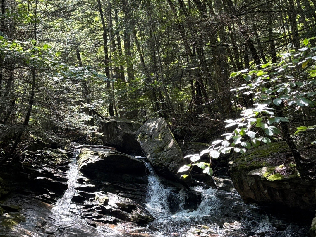 Seven Tubs Recreation Area-威尔克斯-巴里必去景点