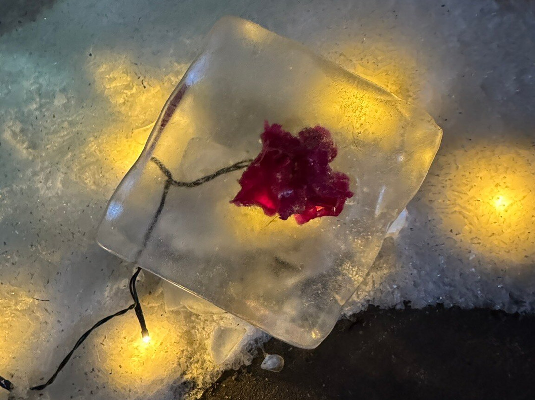 Iskunsten-Thyboron必去景点