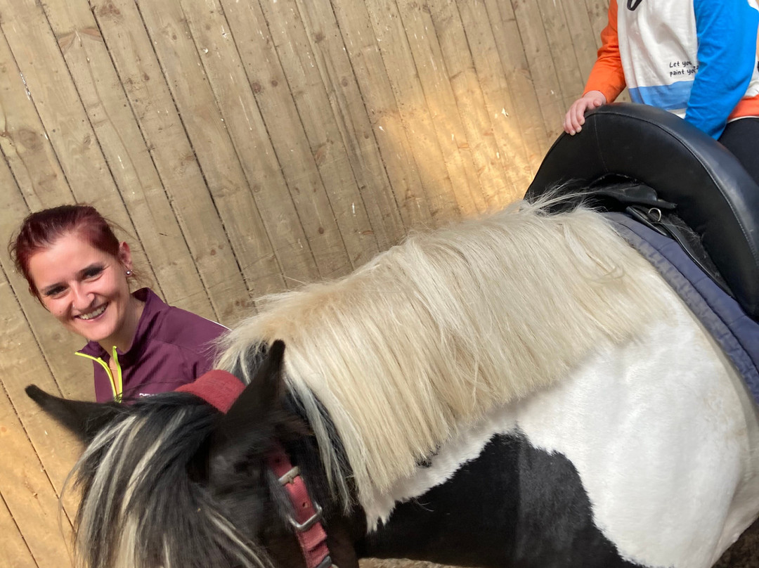 Crindle Stables-Limavady必去景点