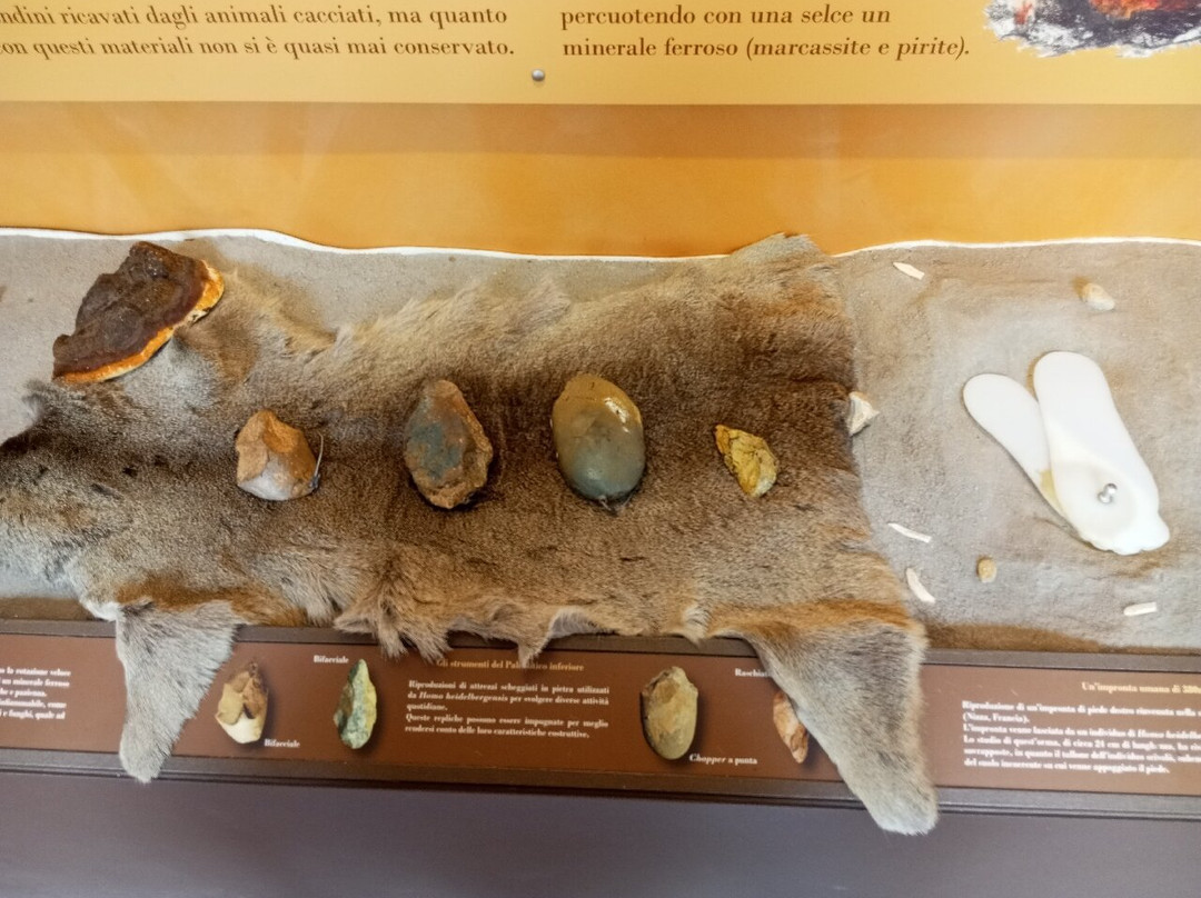 Museo Archeologico del Finale - Convento di Santa Caterina-菲纳莱利古雷必去景点