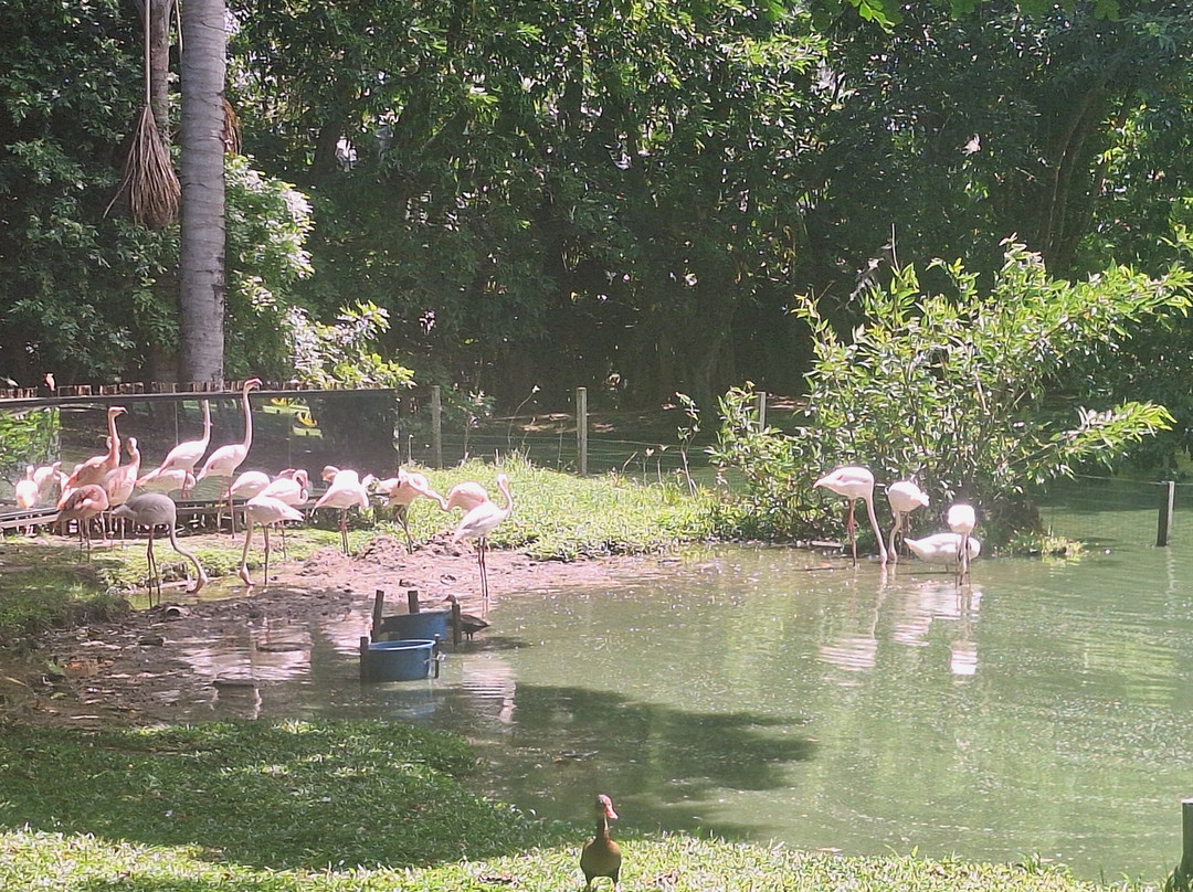 莽卡加西亚-贝伦必去景点