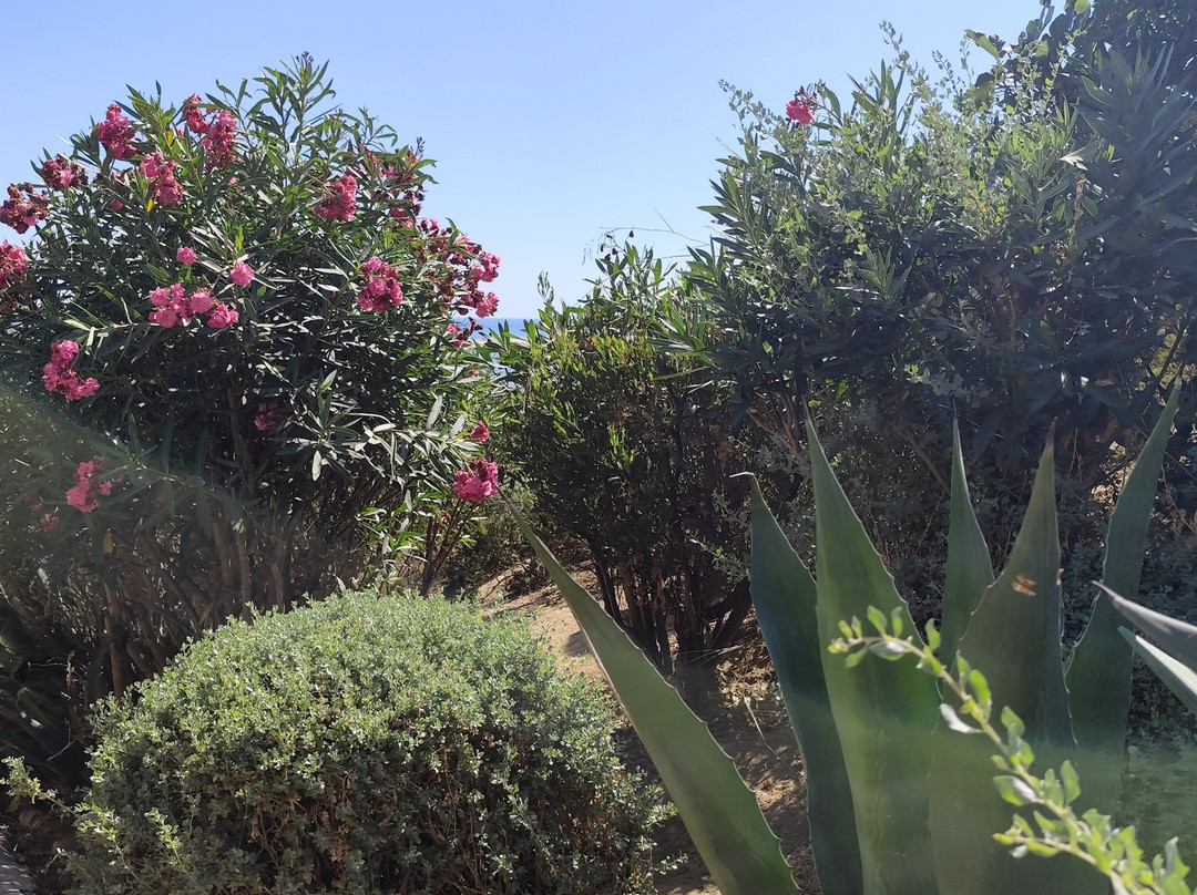 Praia de Cacela Velha-Vila Nova de Cacela必去景点