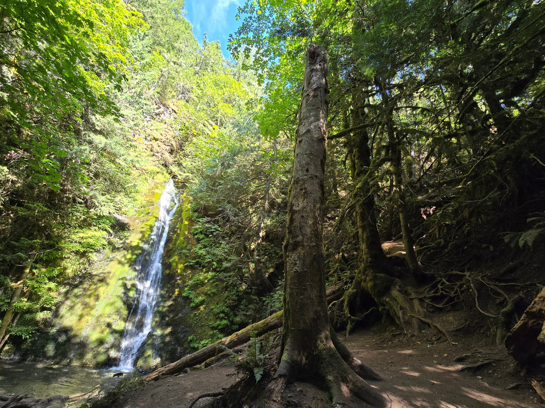 Madison Creek Falls-安吉利斯港必去景点