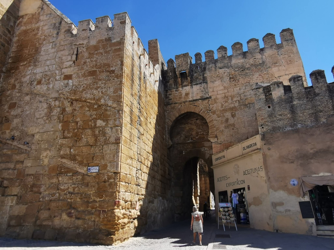 Alcazar de la Puerta de Sevilla-卡莫纳必去景点