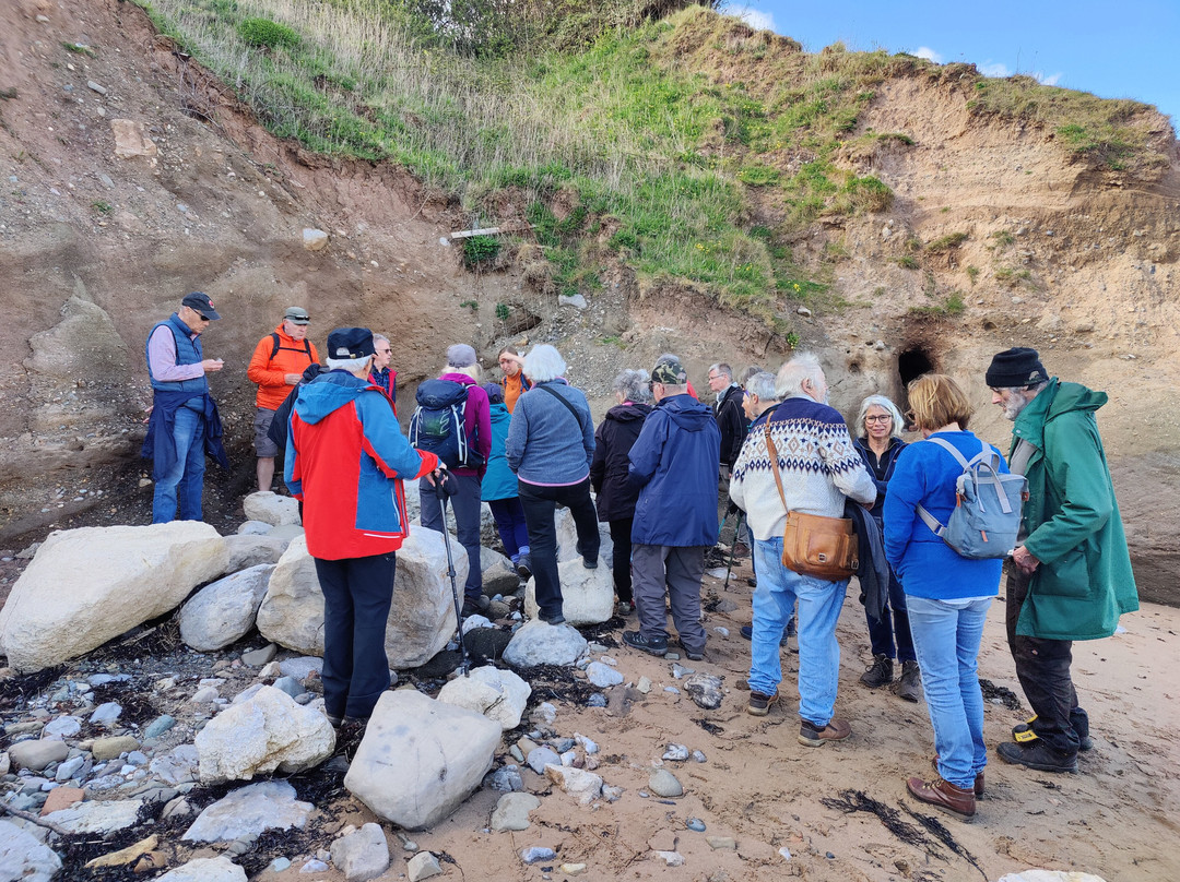Geomon UNESCO Global Geopark-Amlwch必去景点