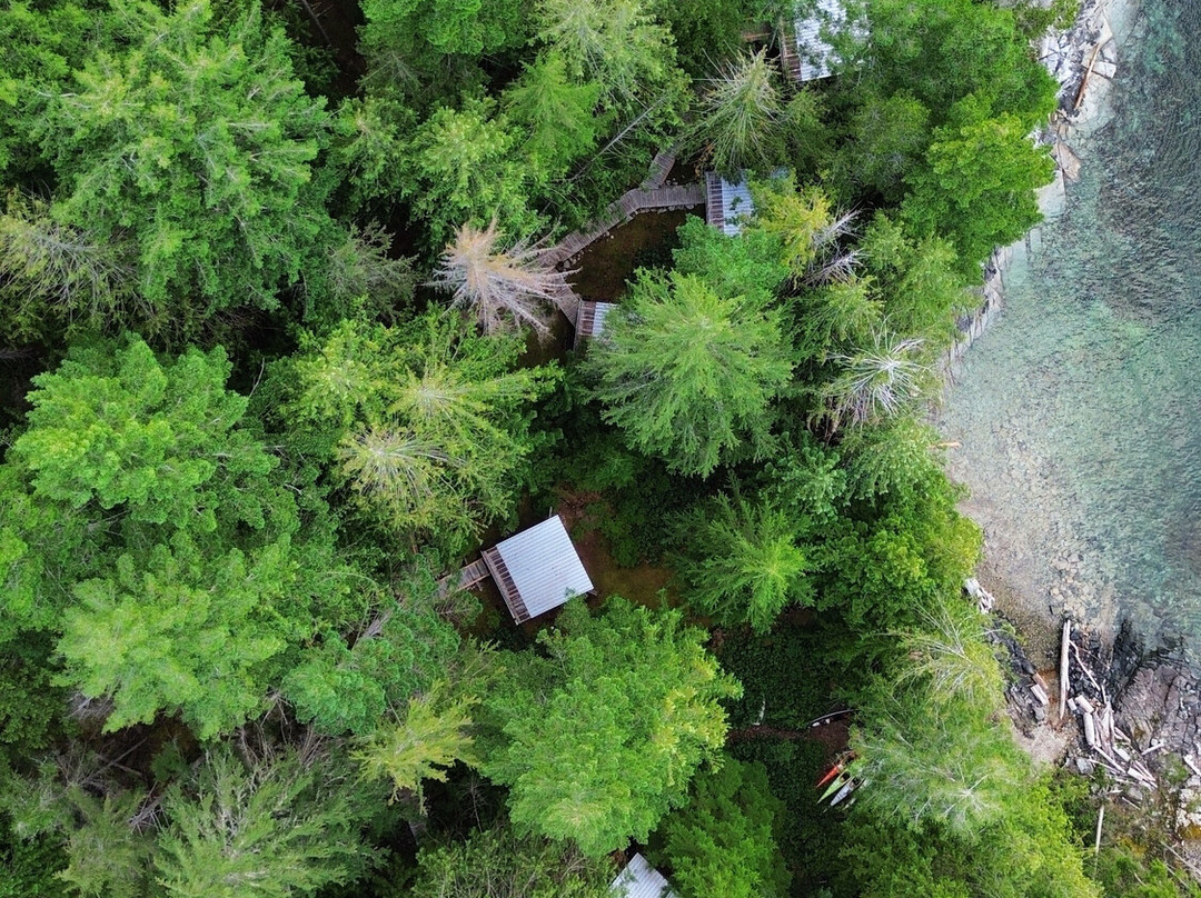 Powell River Sea Kayak-鲍威尔里弗必去景点