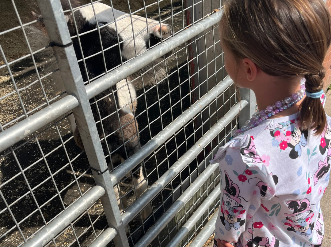 World Horse Welfare Penny Farm-黑潭必去景点