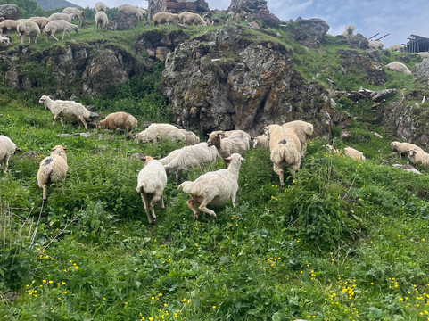 Friendly.ge-第比利斯必去景点