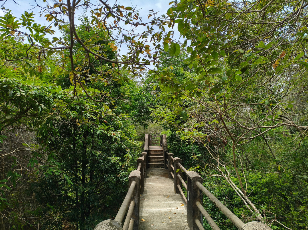 Tour Guide in Sri Lanka-尼甘布必去景点