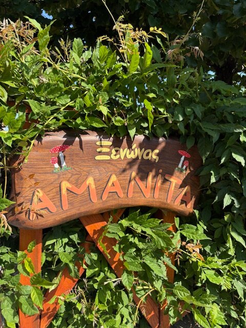 Amanita-官方