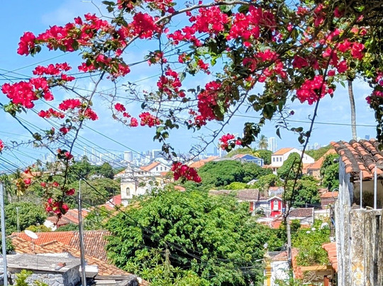 Centro Historico de Olinda-Olinda必去景点