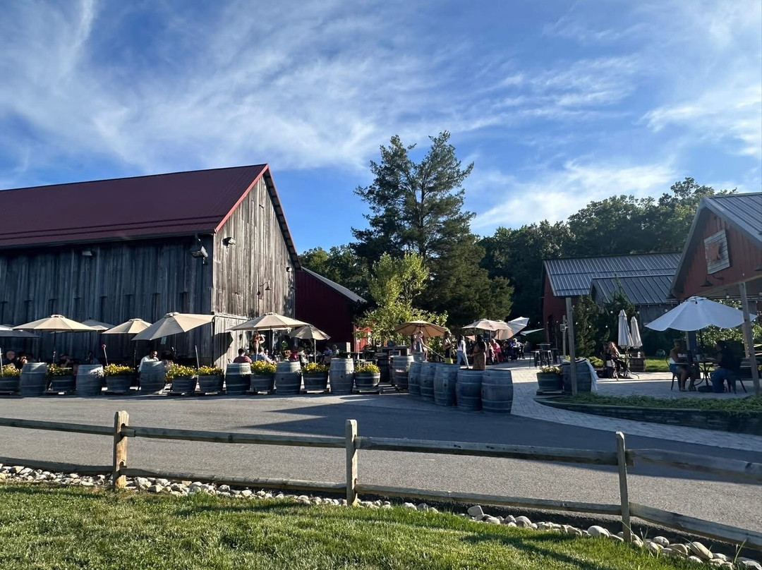 Great Frogs Winery-安纳波利斯必去景点