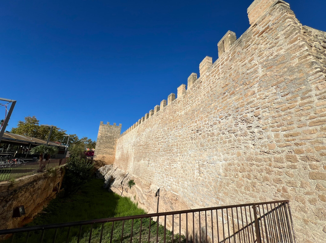 Murada Medieval D'alcúdia-阿库迪亚必去景点