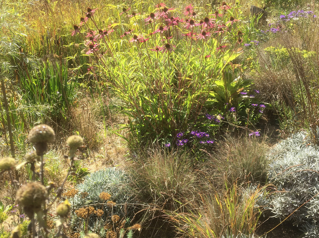 Knepp Wildland Safaris-霍舍姆必去景点