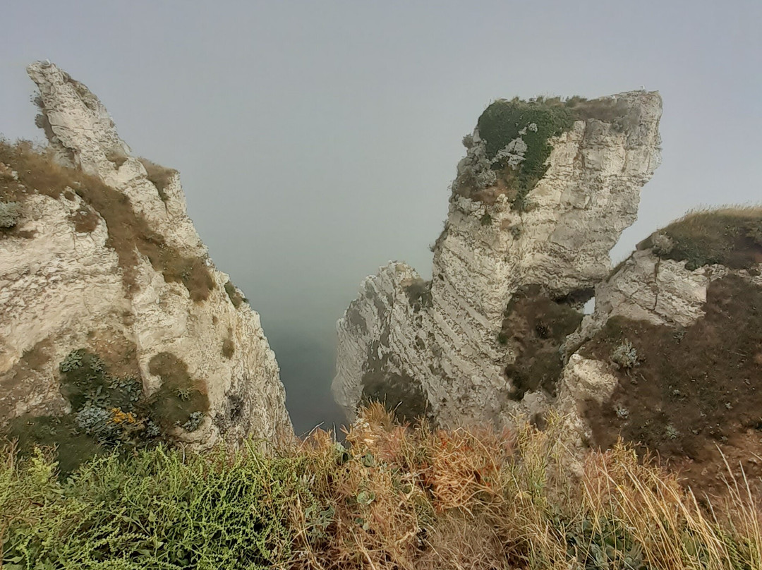 Étretat-埃特勒塔必去景点