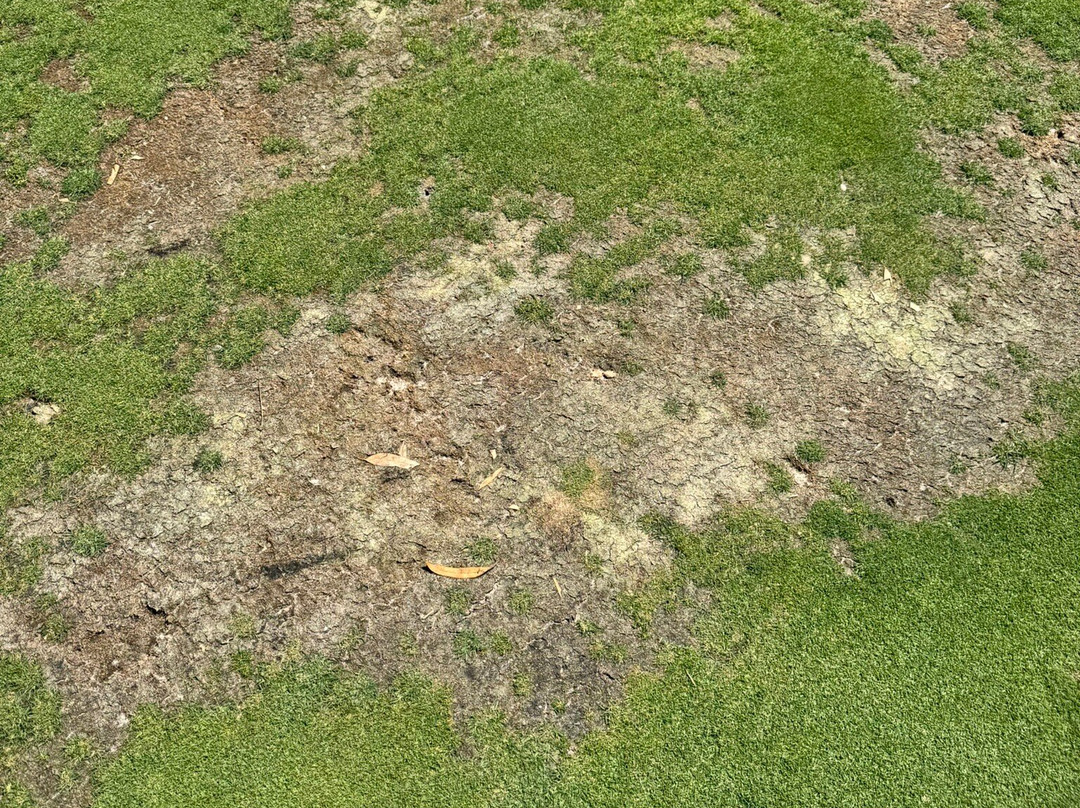 San Lorenzo Golf Course-Quinta do Lago必去景点