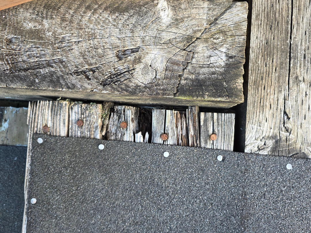 Embarcadero Resort Hotel and Marina主图