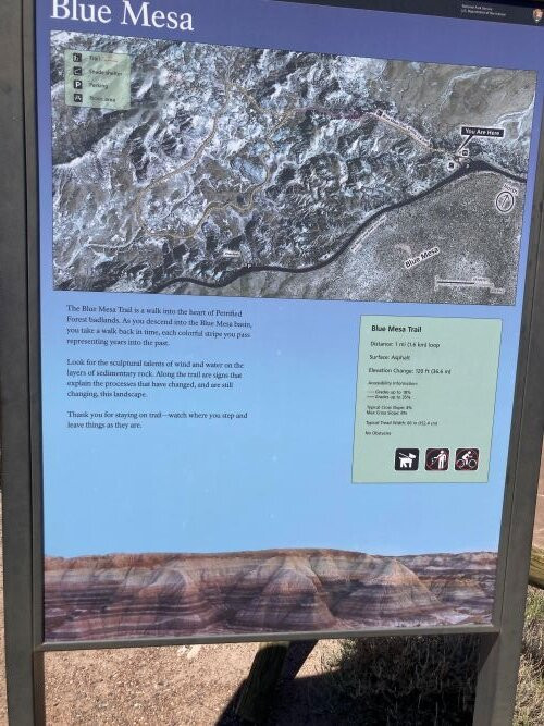 Historic Blue Forest Trail-霍尔布鲁克必去景点