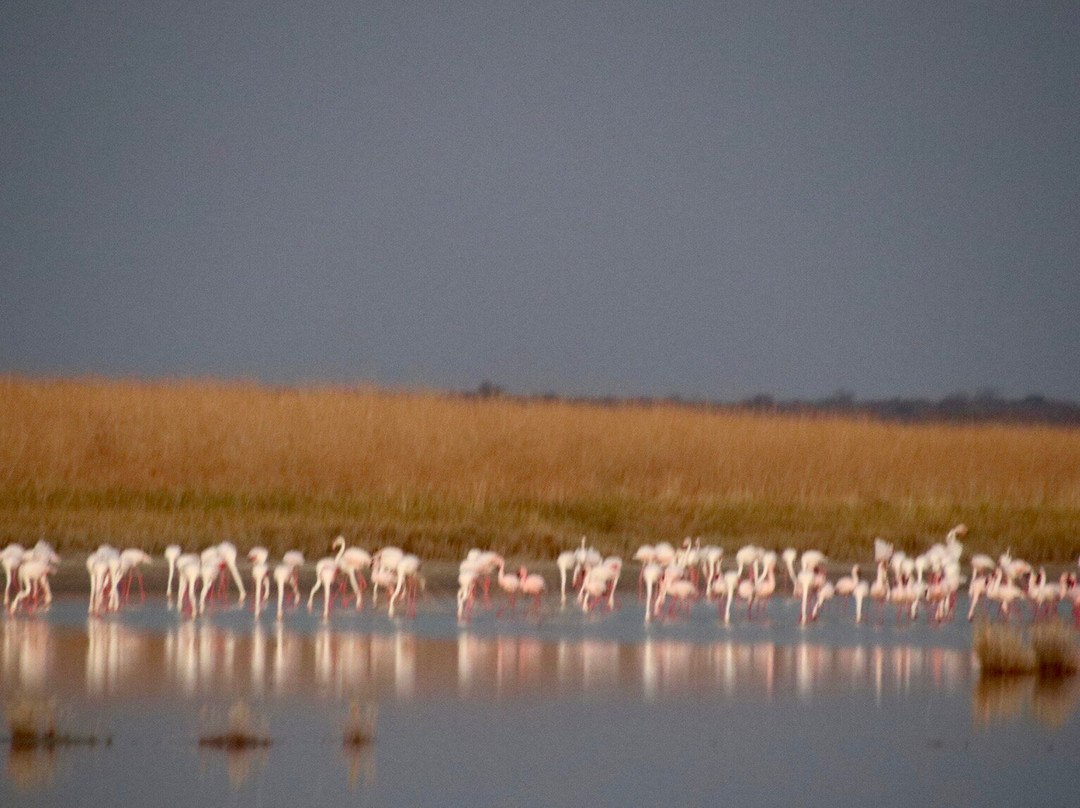 Makgadikgadi Salt Pan-Makgadikgadi Pans National Park必去景点