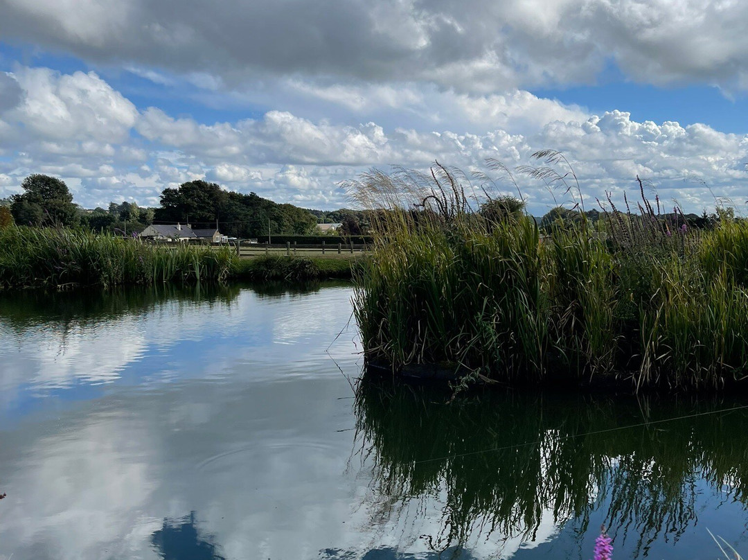 Foxholes Lake-Tansley必去景点