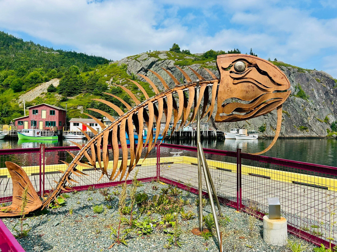 Quidi Vidi Brewery-圣约翰必去景点