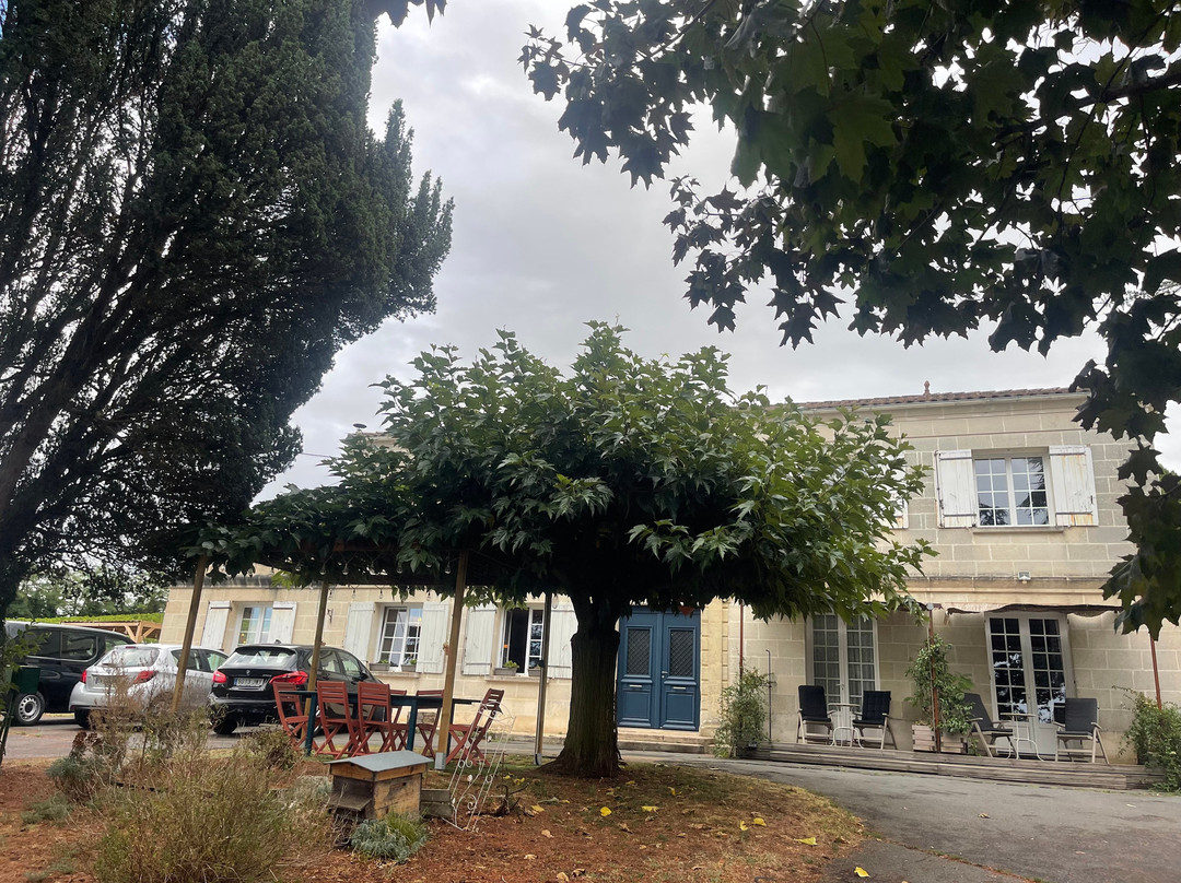 A L'Ombre De La Treille主图