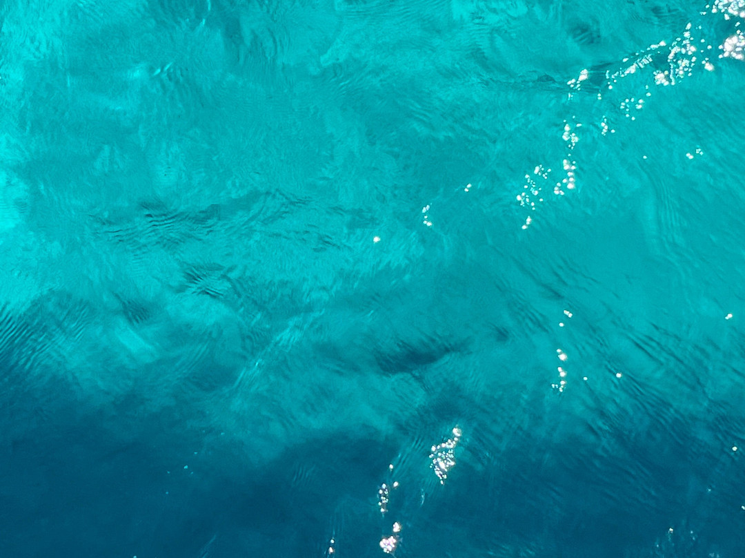 Mykonos Eleftheriou Yachting-卡拉法蒂斯必去景点