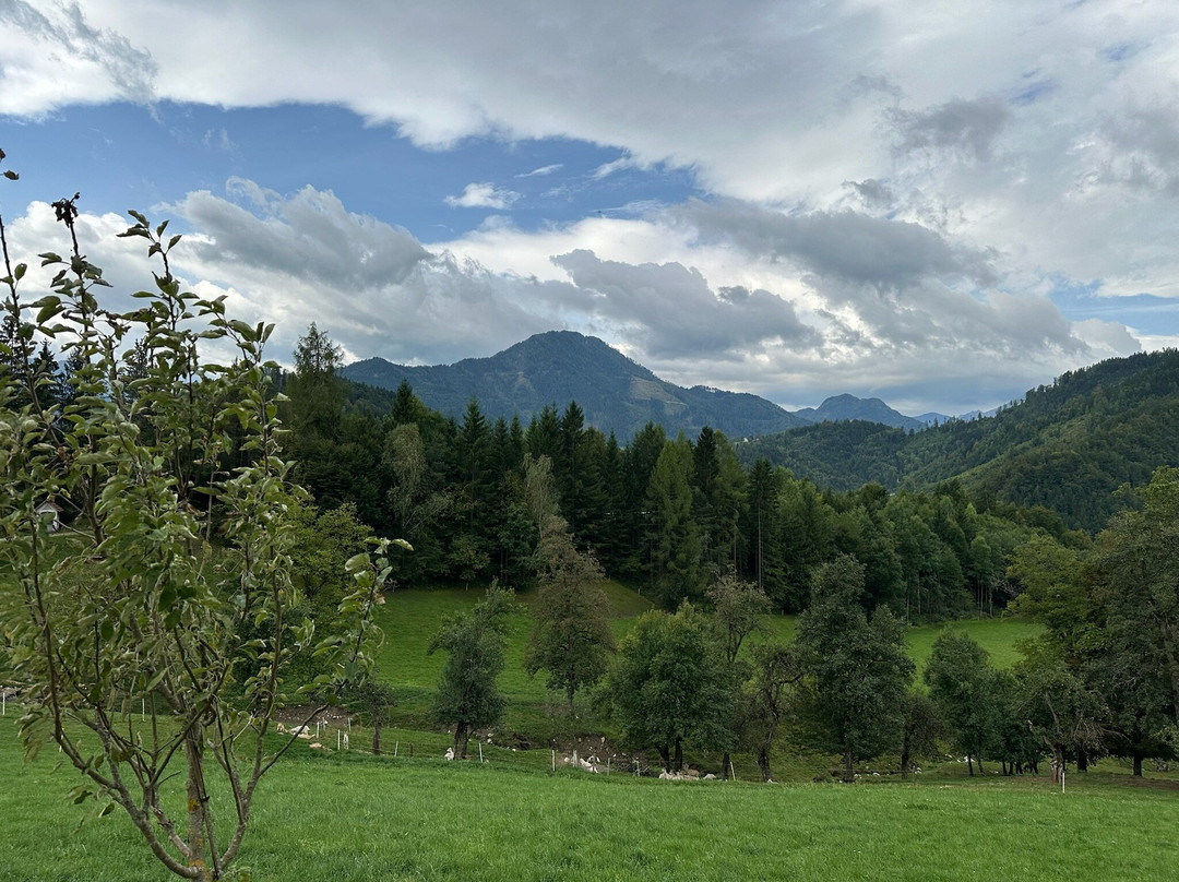 Arlitscherhof-Eisenkappel必去景点