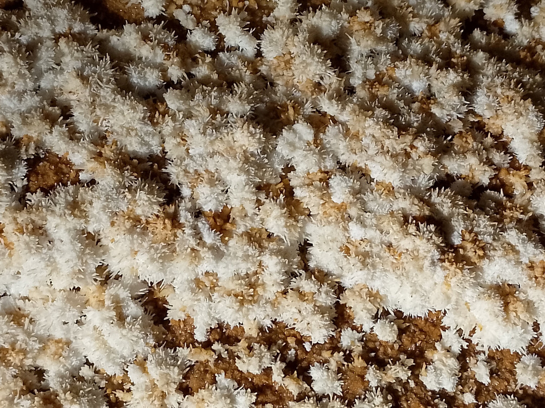 La grotte de Maxange-Le Buisson-de-Cadouin必去景点