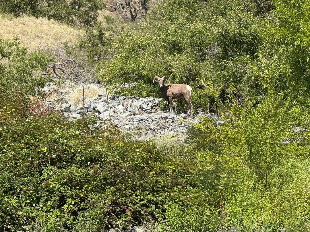 Hells Canyon Adventures-Oxbow必去景点