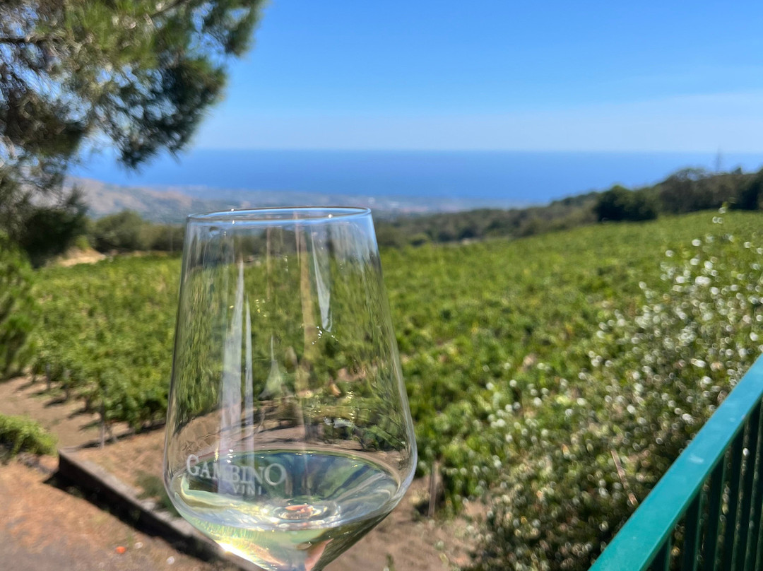 Gambino Winery-林瓜格洛萨必去景点
