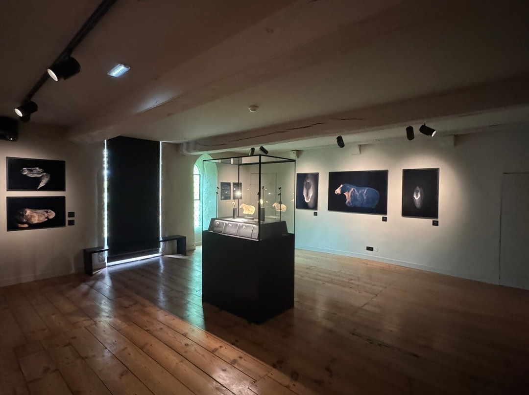 Abbaye d'Arthous-Hastingues必去景点