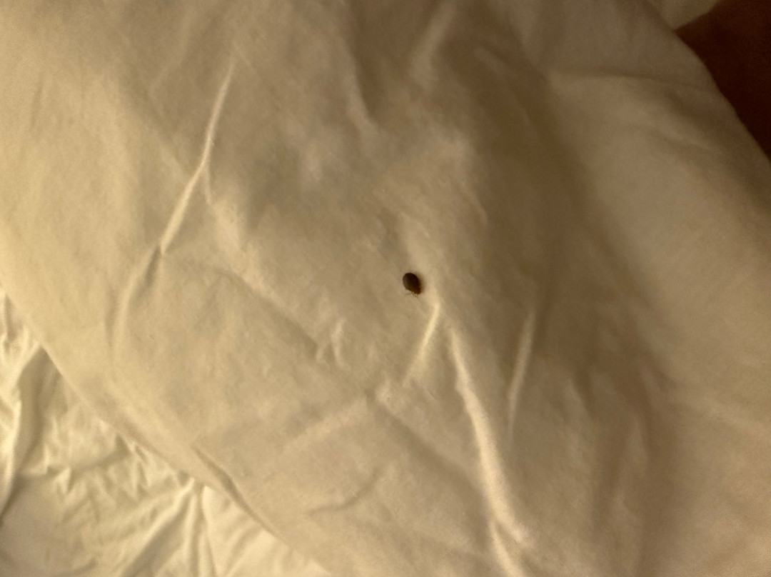 Fairfield by Marriott Inn & Suites Wisconsin Dells主图