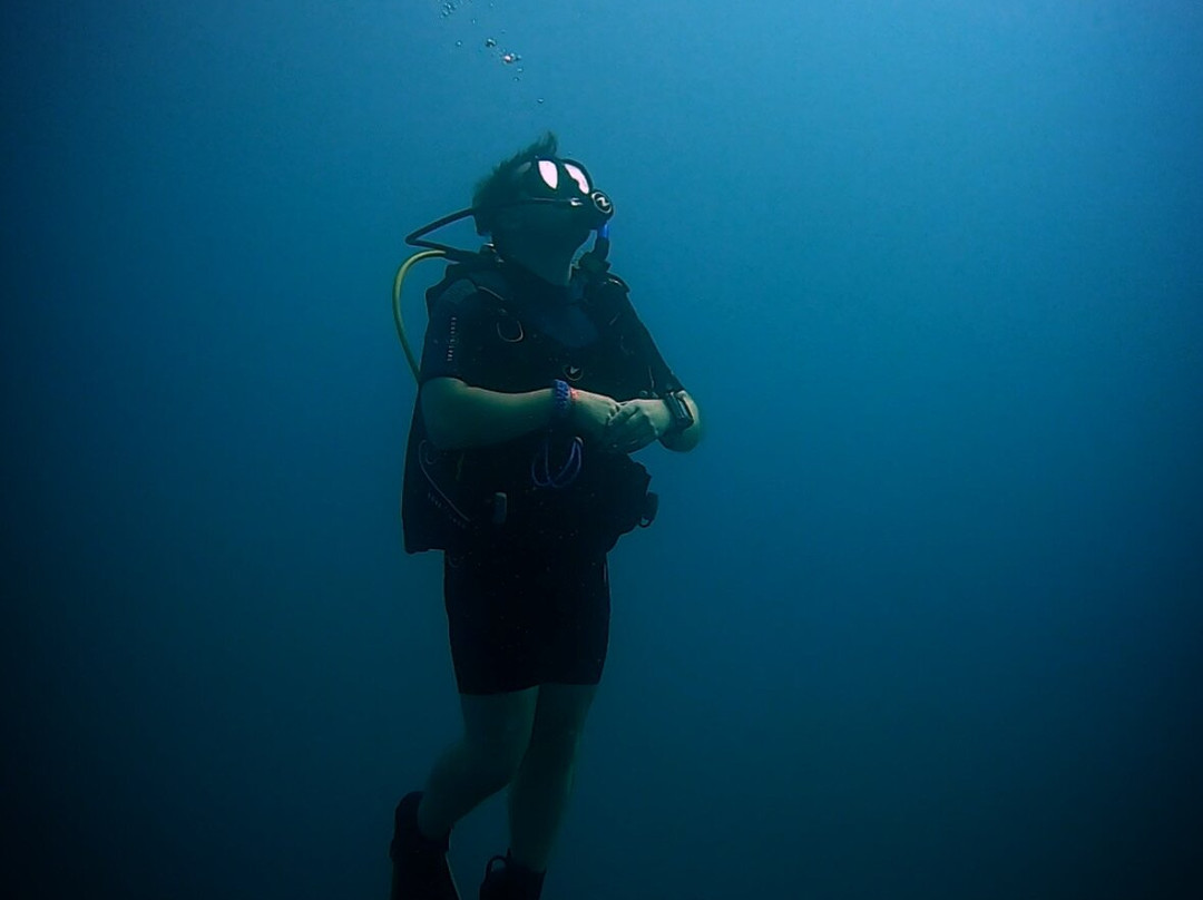 Royal Blue Diving Center (Francophone)-雷斯蒙必去景点