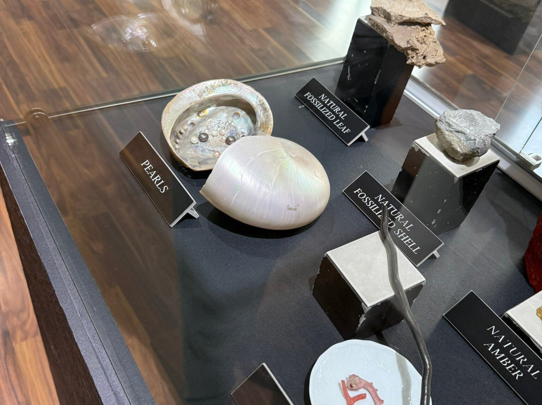 Gamini Gem & Jewellery-Halloluwa必去景点