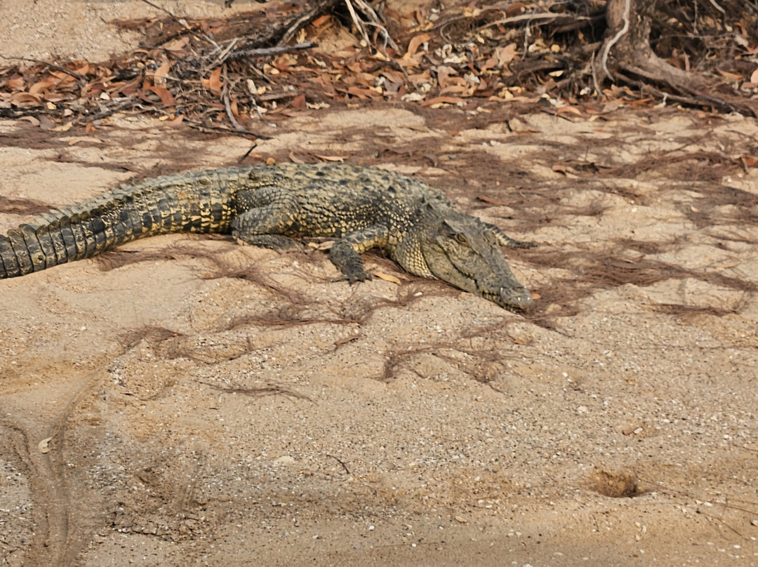 Western Cape Eco Tours-Weipa必去景点
