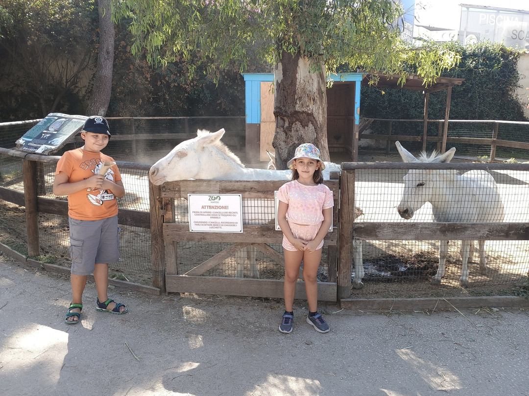 Lo Zoo di Napoli-那不勒斯必去景点